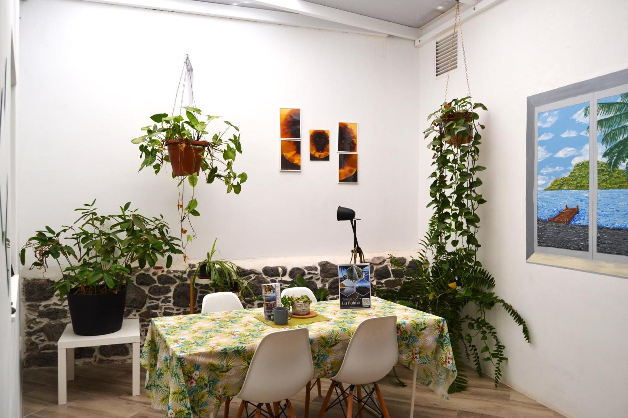 Room With Private Bathroom - Vivienda Vacacional Out Of Blue 산타크루즈데라팔마 외부 사진